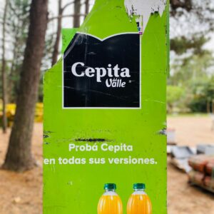 Exhibidor de Cepita Del Valle, color verde