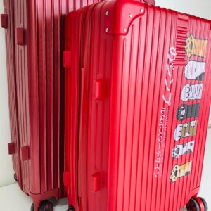 Lote x2 valijas roja y roja con diseño