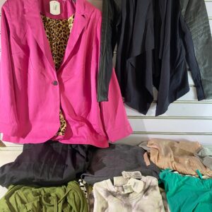 Lote x10 prendas varias: chaquetas, vestidos, remeras