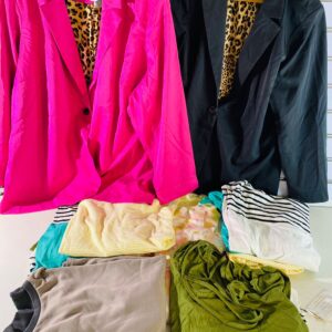 Lote x10 prendas varias: chaquetas, vestidos, remeras