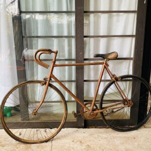 Bicicleta (dorada)