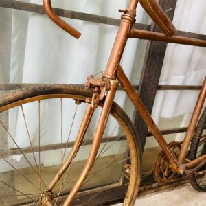 Bicicleta (dorada)