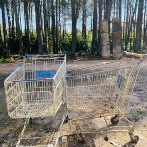 Lote x2 carros de supermercado