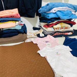 Lote x40 prendas: buzos, bodys de bebé, camperas, pantalones y otros