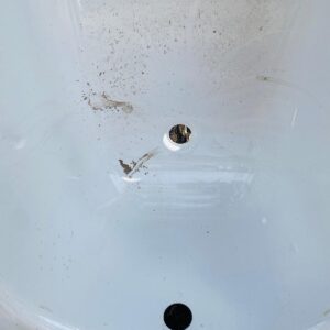 Bañera esmaltada en hierro