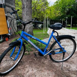 Bicicleta Ondina R24
