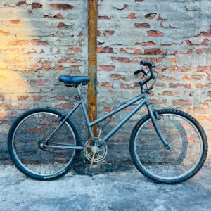 Bicicleta R26, color gris