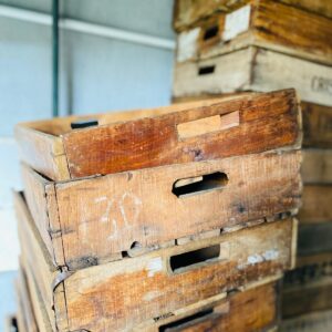 Lote x49 chatas de madera