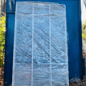 Puerta en hierro + 2 hojas de ventana y marco