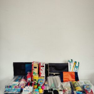 Lote x76: bolso, cartucheras, lapiceras, marcadores y otros