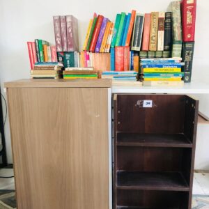 Lote x2 bibliotecas en MDF + libros de medicina