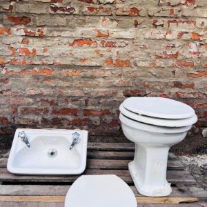 Lote de baño: inodoro con tapa, bacha