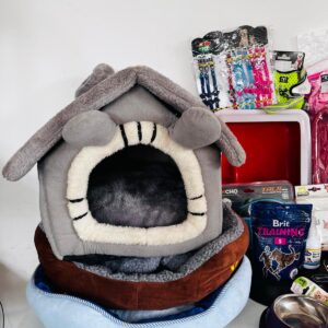 Lote x43: baño para gato, rascador, collares varios, camas para mascota y otros