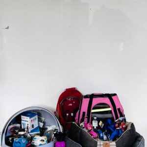 Lote x39: baño para gato, cama para mascotas, collares, comedero y otros