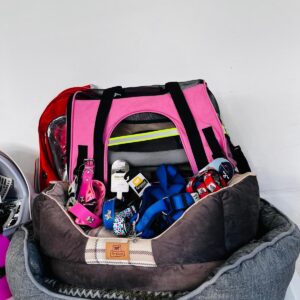 Lote x39: baño para gato, cama para mascotas, collares, comedero y otros