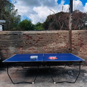 Mesa de Ping Pong con accesorios