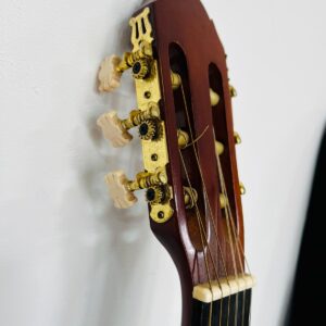 Guitarra con estuche