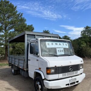 Camión Mercedes Benz 711 (PRECIO EN DÓLARES)