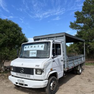 Camión Mercedes Benz 711 (PRECIO EN DÓLARES)