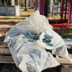 Lote x5 bolsas de separadores circulares de plástico