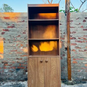 Mueble 2 puertas 2 estantes