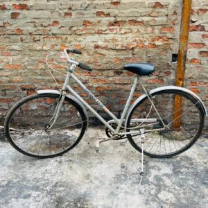 Bicicleta ILDEFONSO SOLER R26, color gris