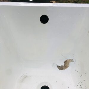 Bañera en fibra 1,70x0,70x0,40 m