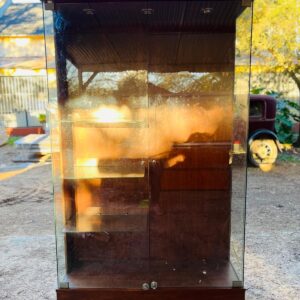 Vitrina en madera y vidrio con puerta y estantes en vidrio 2,05x1,20x0,40 m
