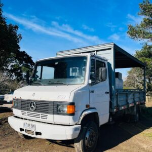 Camión Mercedes Benz 711 (PRECIO EN DÓLARES)
