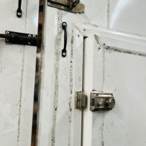 Lote x2 hojas de puerta en isopanel
