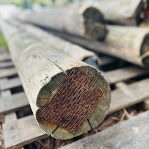 Lote x6 columnas de eucalipto tratadas