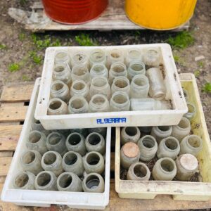 Lote x69 u: bollones de vidrio y chatas de plástico