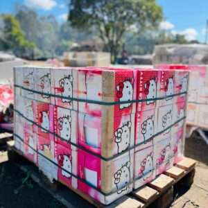 Lote x60 m2 de ceramicas, diseño Hello Kitty 20x20 cm
